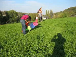 sud — 4. října 2011