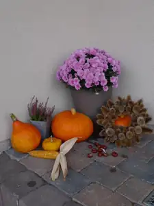 Počasí úchvatně a zahrada kvet 🙂