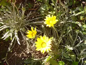 Maariee — 5. října 2011