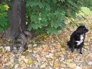 60 — 5. října 2011