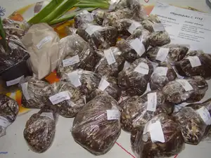 Maariee — 6. října 2011