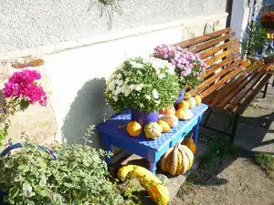 tykve , tykvičky