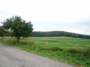 taky bylo pár jablíček