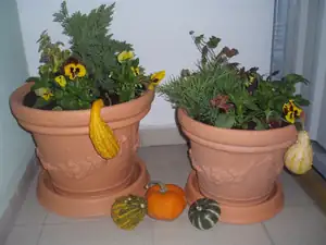 balkon kuchyně