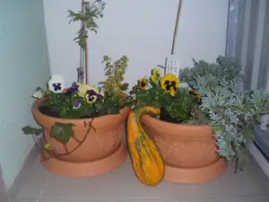 balkon ložnice