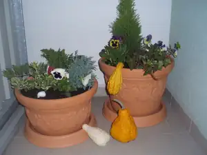 balkon pokoj.