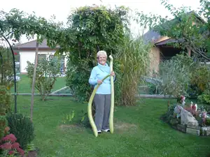 kosnikovna — 13. října 2011