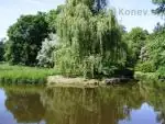 iris66 — 4. května 2010