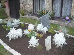 kosnikovna — 19. října 2011