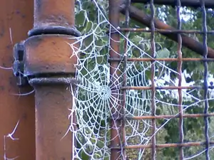 cestou do města na vratech