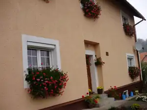 muškatek — 23. října 2011