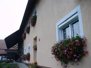 muškatek — 23. října 2011