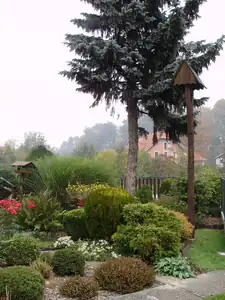 muškatek — 23. října 2011