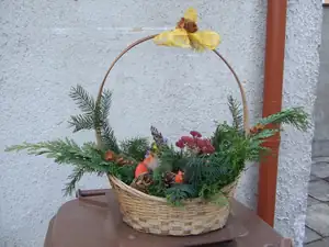 iris66 — 24. října 2011