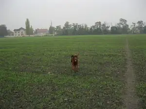 sud — 26. října 2011