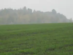 sud — 26. října 2011