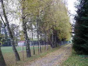 Břízy