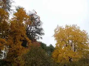 60 — 30. října 2011