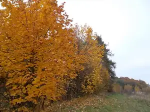 60 — 30. října 2011