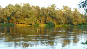 kosnikovna — 6. listopadu 2011