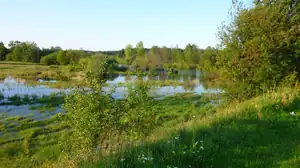 kosnikovna — 6. listopadu 2011