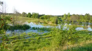 kosnikovna — 6. listopadu 2011