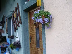 muškatek — 9. listopadu 2011