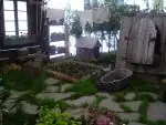 Flora - pro mě nej...expozice