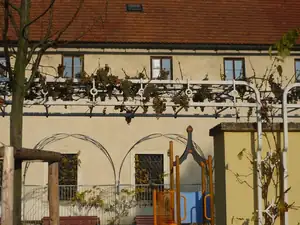 zátiší s hrozny