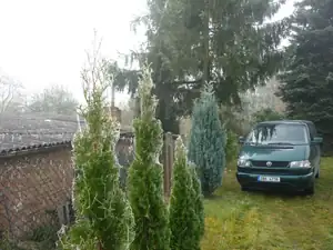 pondělí