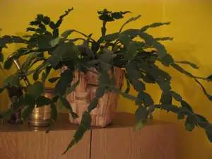 sud — 16. listopadu 2011