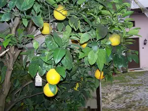keramo — 23. listopadu 2011