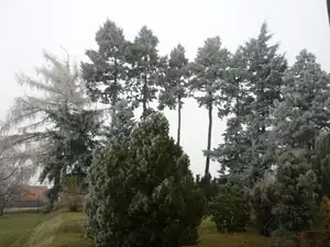 pocukrováno