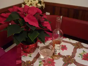 vítáme vánoce