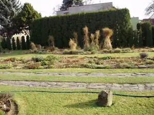 Zazimovaná zahrada