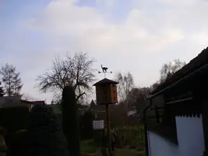Slíbený kocour