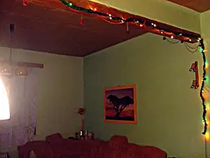 už to svítí všude