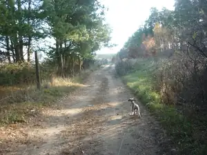 emilka12 — 28. listopadu 2011