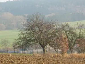 úterý