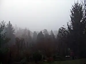 ranní pohled z okna br......