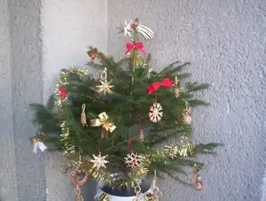 buliznik — 3. prosince 2011