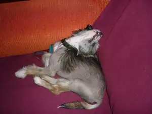 emilka12 — 9. prosince 2011
