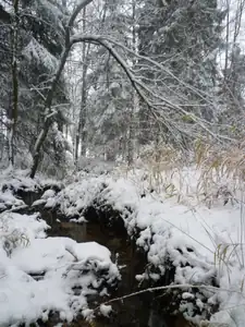 potůček na horách