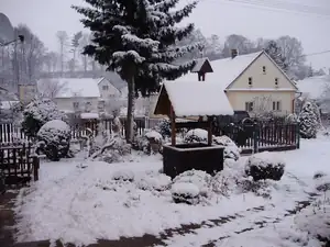 muškatek — 22. prosince 2011