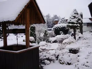 muškatek — 22. prosince 2011