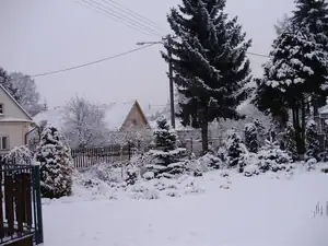 muškatek — 22. prosince 2011