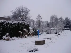 muškatek — 22. prosince 2011