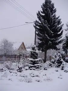 muškatek — 22. prosince 2011
