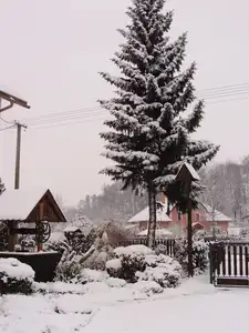 muškatek — 22. prosince 2011