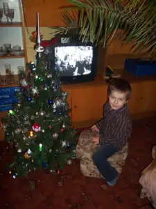 Petinek